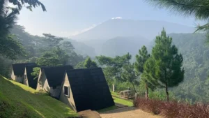 rental tenda pancawati